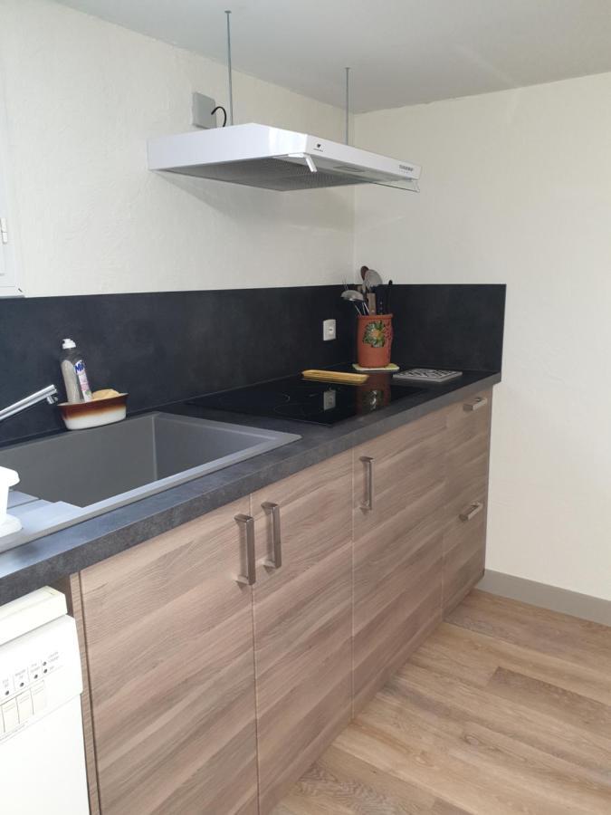T1 Dans Maison Au Calme Réalmont Екстериор снимка
